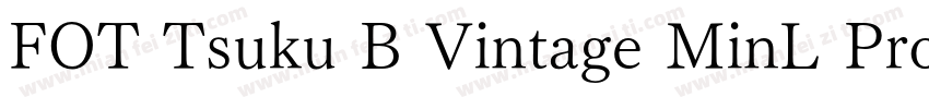 FOT Tsuku B Vintage MinL Pro字体转换